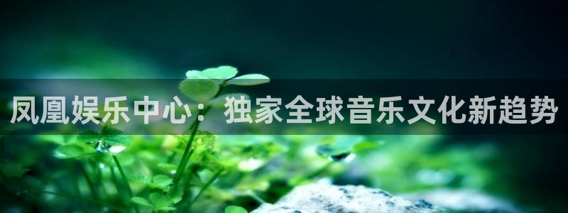 运达娱乐代理：凤凰娱乐中心：独家全球音乐文化新趋势