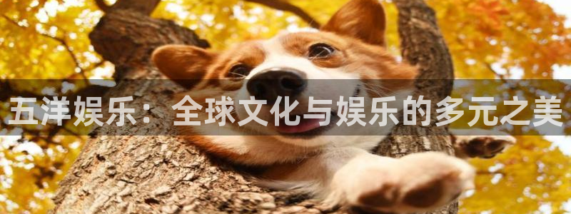 运达娱乐官网：五洋娱乐：全球文化与娱乐的多元之美