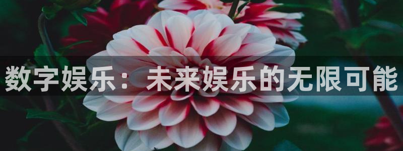 运达娱乐入口网页版：数字娱乐：未来娱乐的无限可能