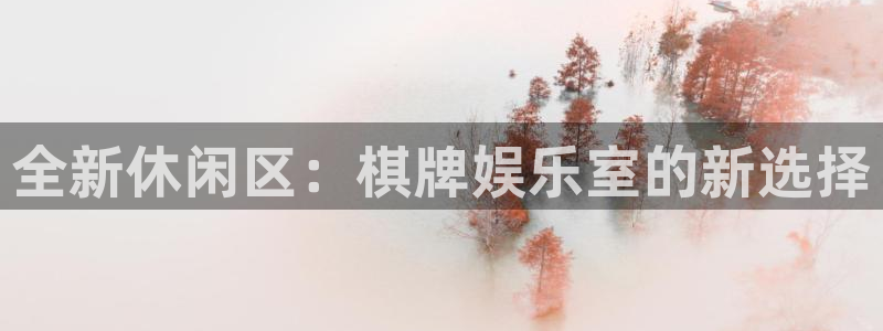 运达娱乐链接：全新休闲区：棋牌娱乐室的新选择